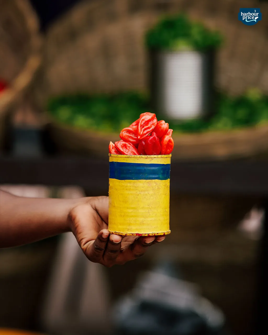 Fresh pepper, Tin, ~500 g