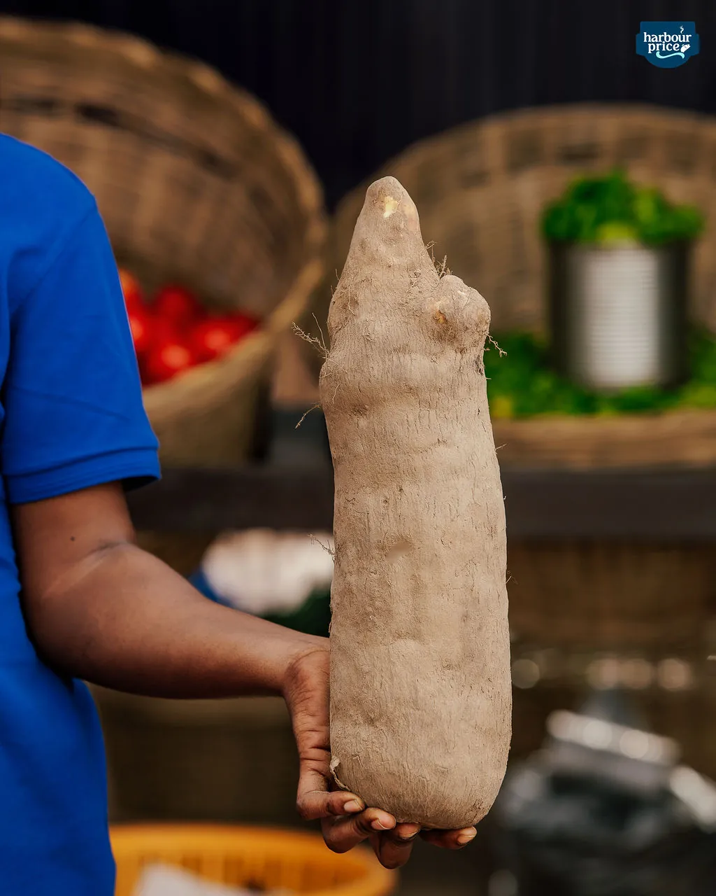 Yam, puna, 1 tuber, ~2.5 kg