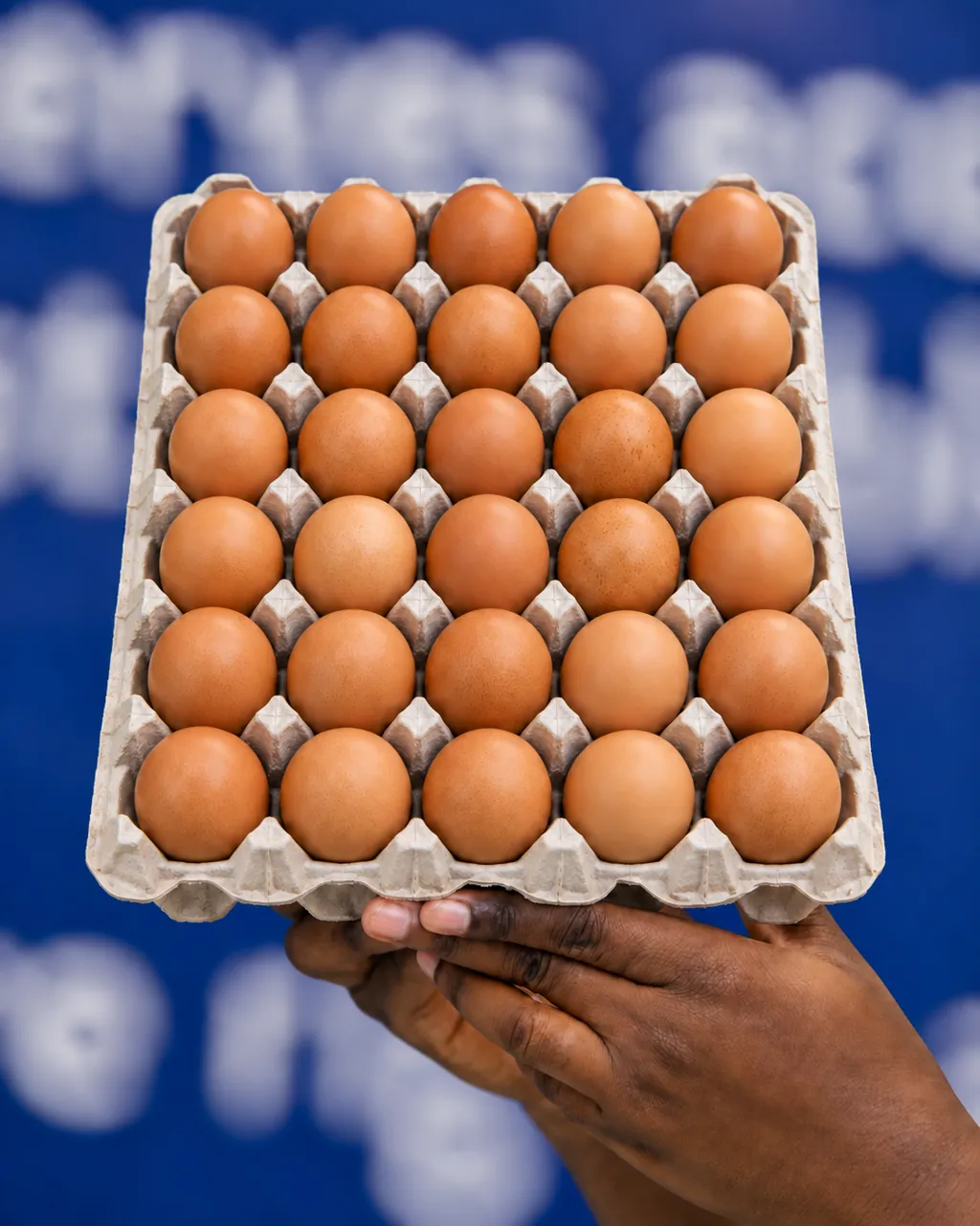 Eggs, large, Crate of 30