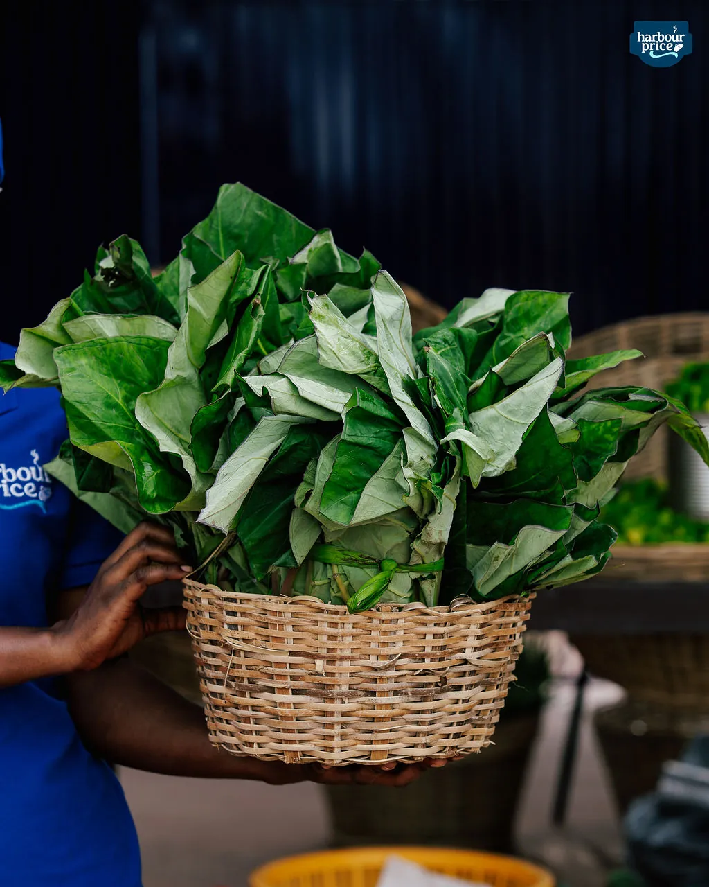 Fresh cocoyam leaves at the Harbour Price Farm Market