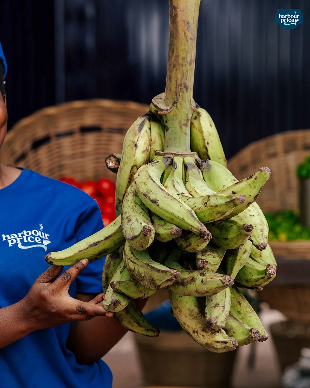 Plantain, green, Bunch of 5