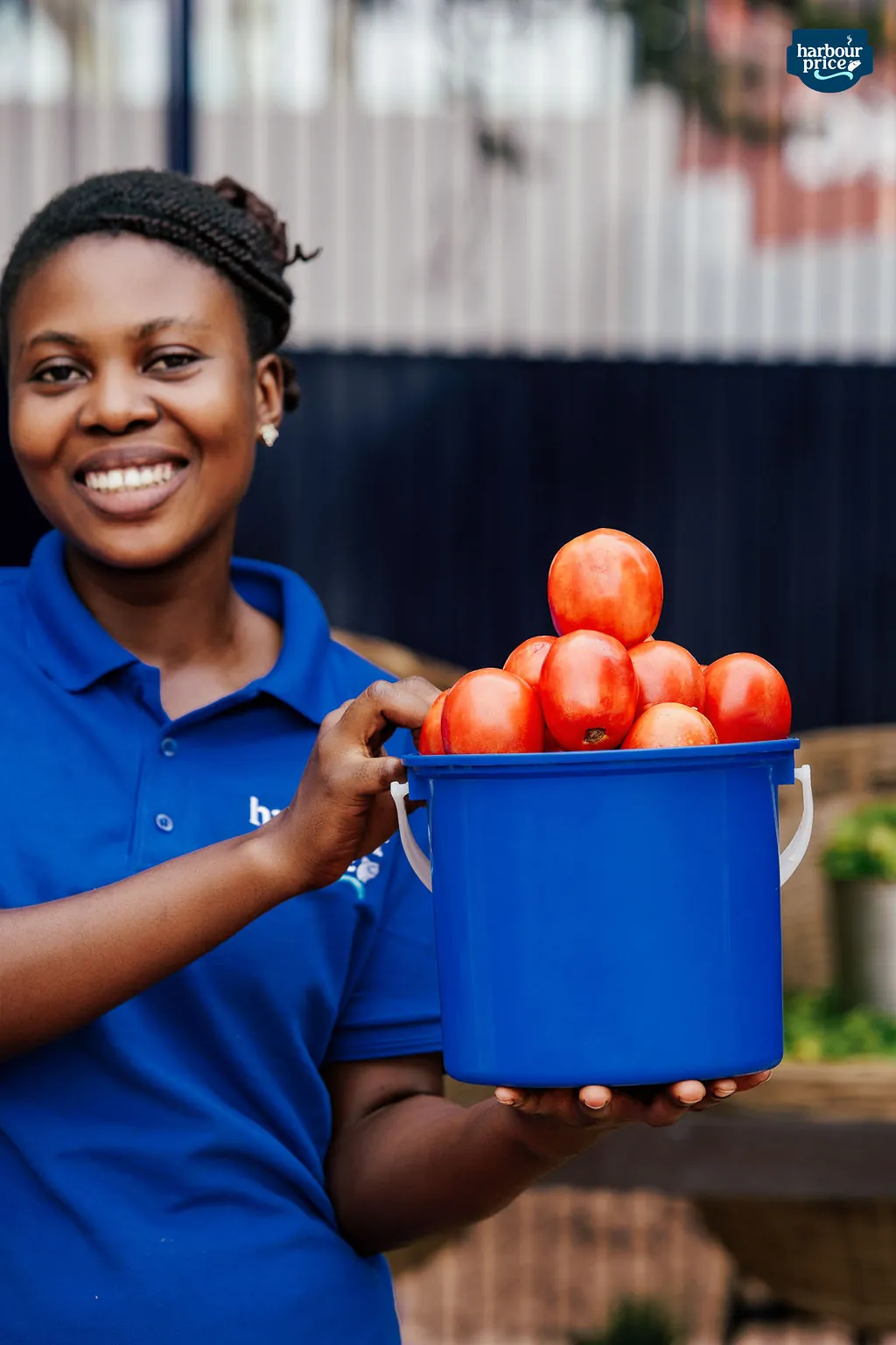 Fresh tomatoes at the Harbour Price Farm Market